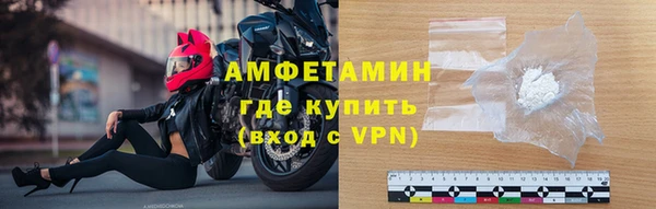 сатива Богданович