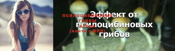 герыч Богородицк