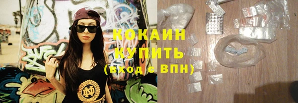 сатива Богданович