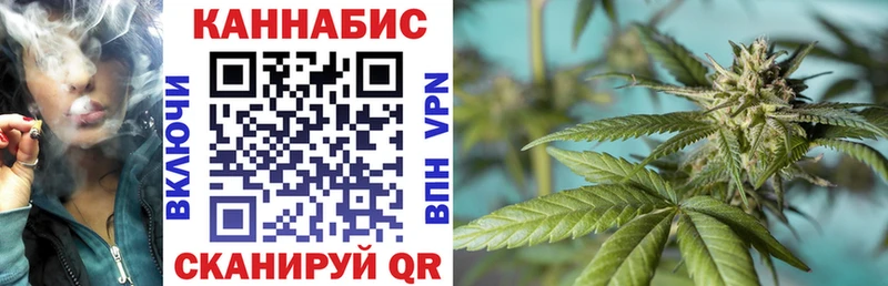 darknet Telegram  кракен как зайти  Семилуки  Бошки марихуана марихуана 